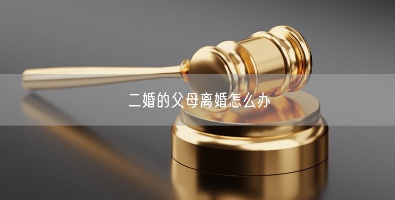 二婚的父母離婚怎么辦