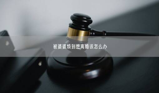 被婆婆煩到想離婚該怎么辦