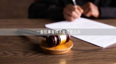 一般民事案件不賠償怎么辦